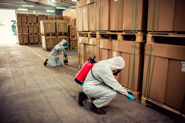 Best Best Pest Control Companies  in Stirling, NJ