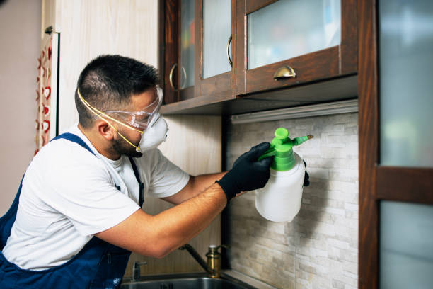 Best Rat Extermination Near Me  in Stirling, NJ