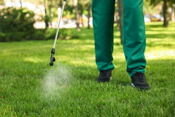 Best Cockroach Control Services  in Stirling, NJ