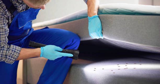 Best Pest Control for Businesses  in Stirling, NJ