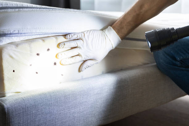 Stirling, NJ Pest Control Company