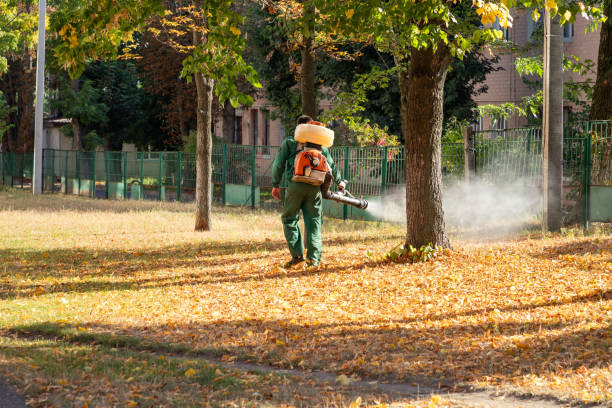 Best Local Pest Control Services  in Stirling, NJ