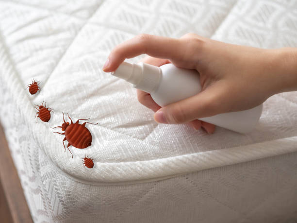 Best Pest Control Near Me  in Stirling, NJ