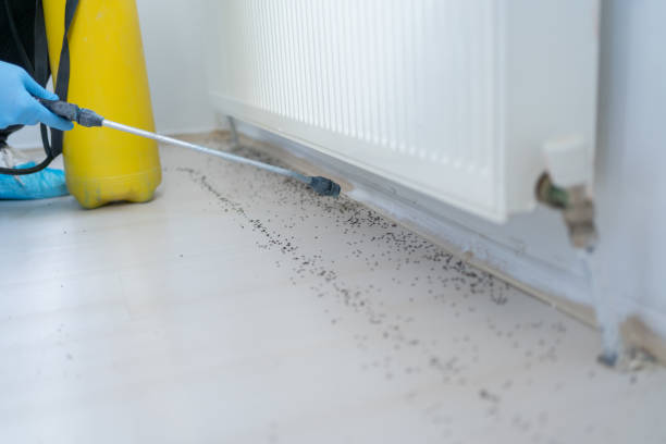 Best Affordable Pest Control Services  in Stirling, NJ