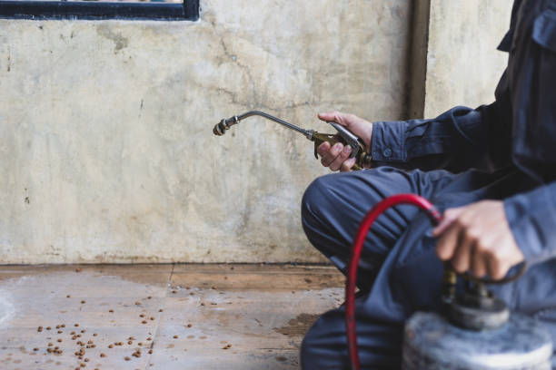 Best Best Pest Control Companies  in Stirling, NJ